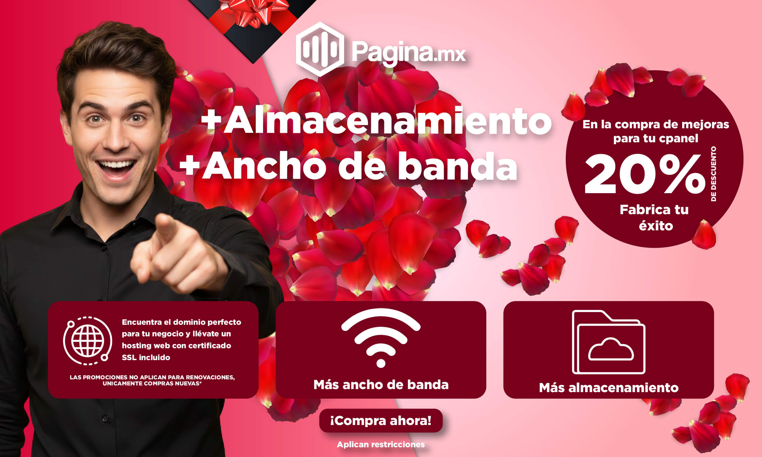 Creador de páginas web