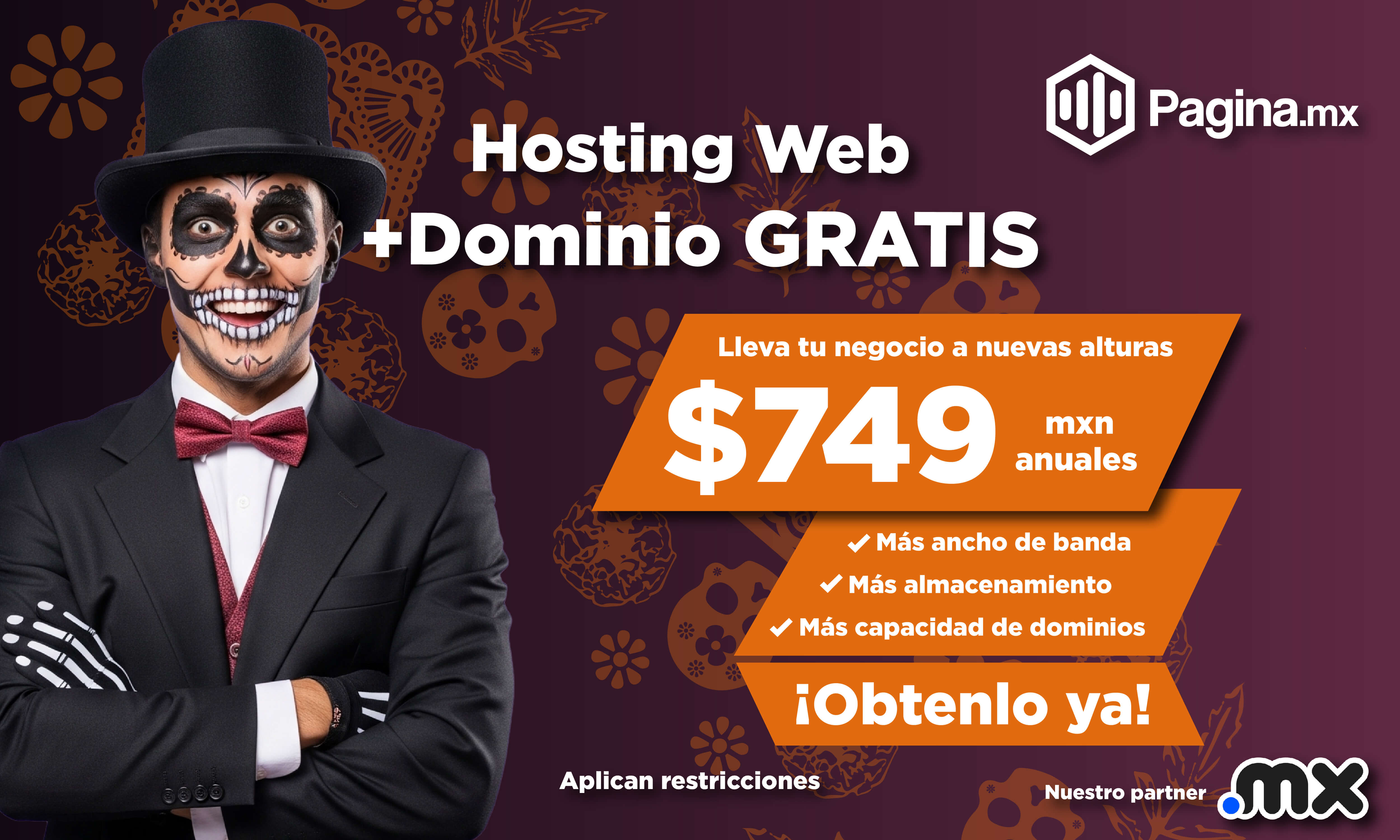 hospedaje web