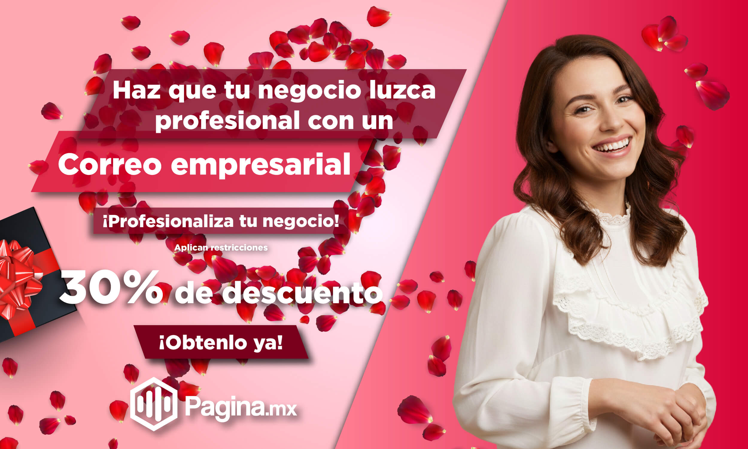 Creador de páginas web