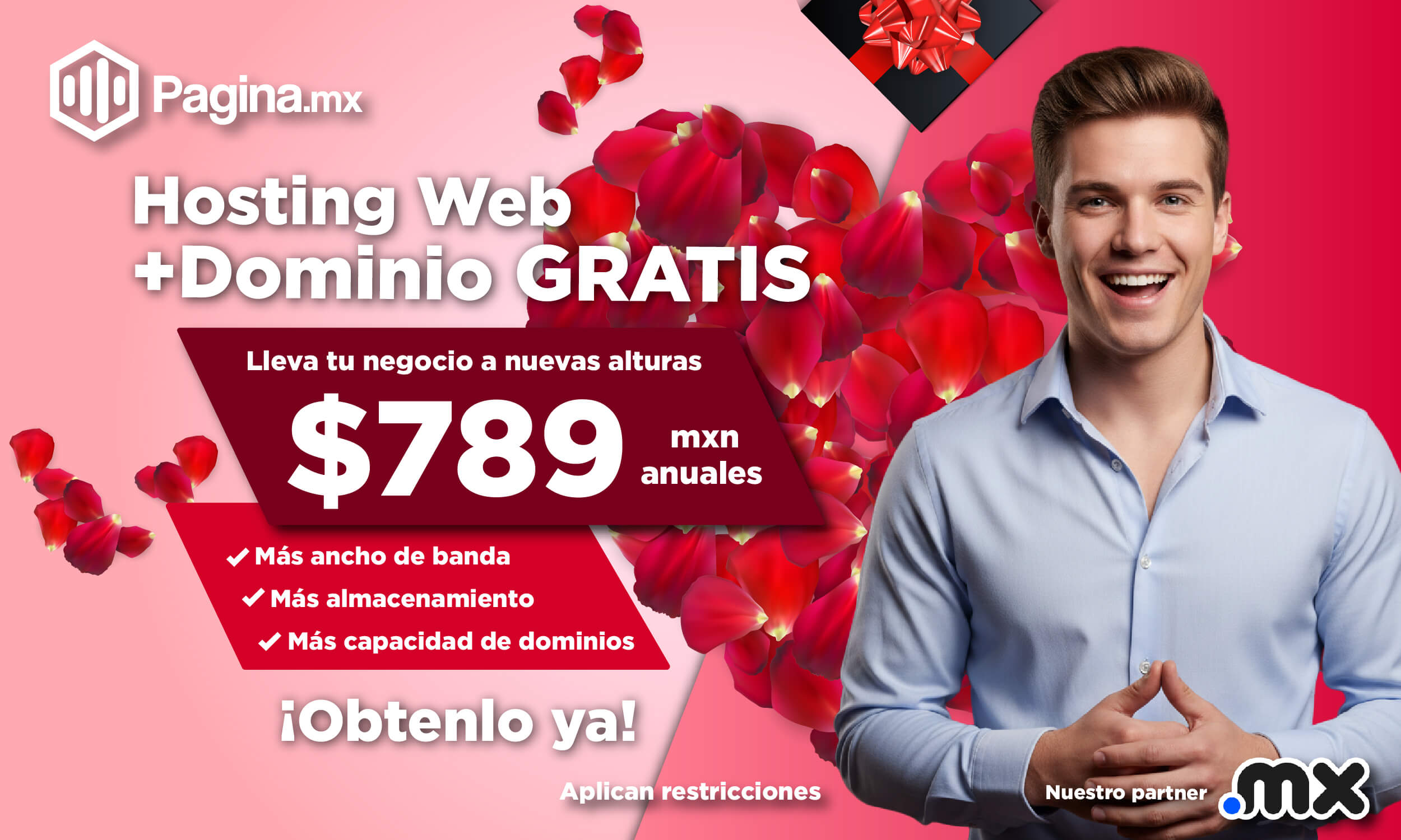 Creador de páginas web