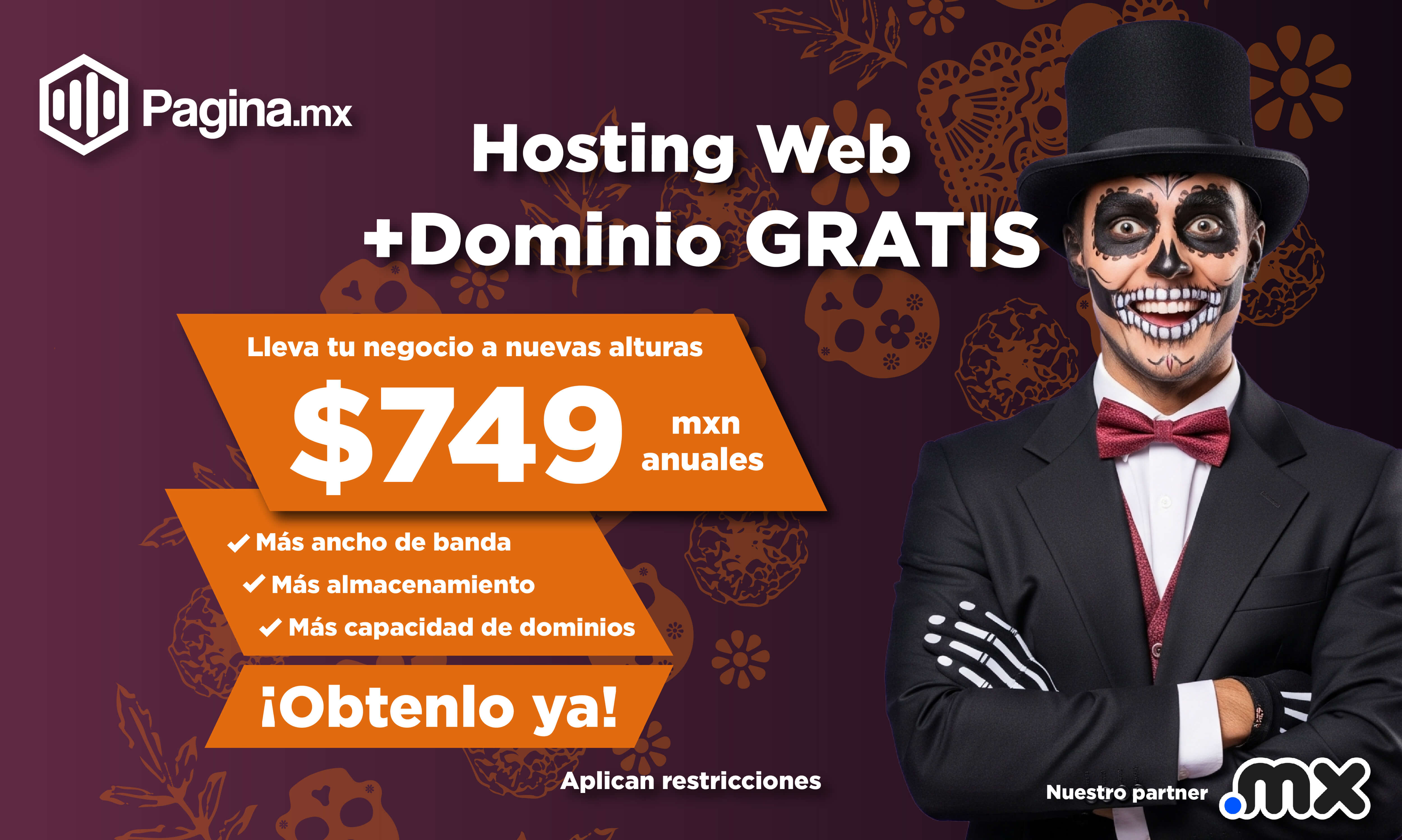 web hosting