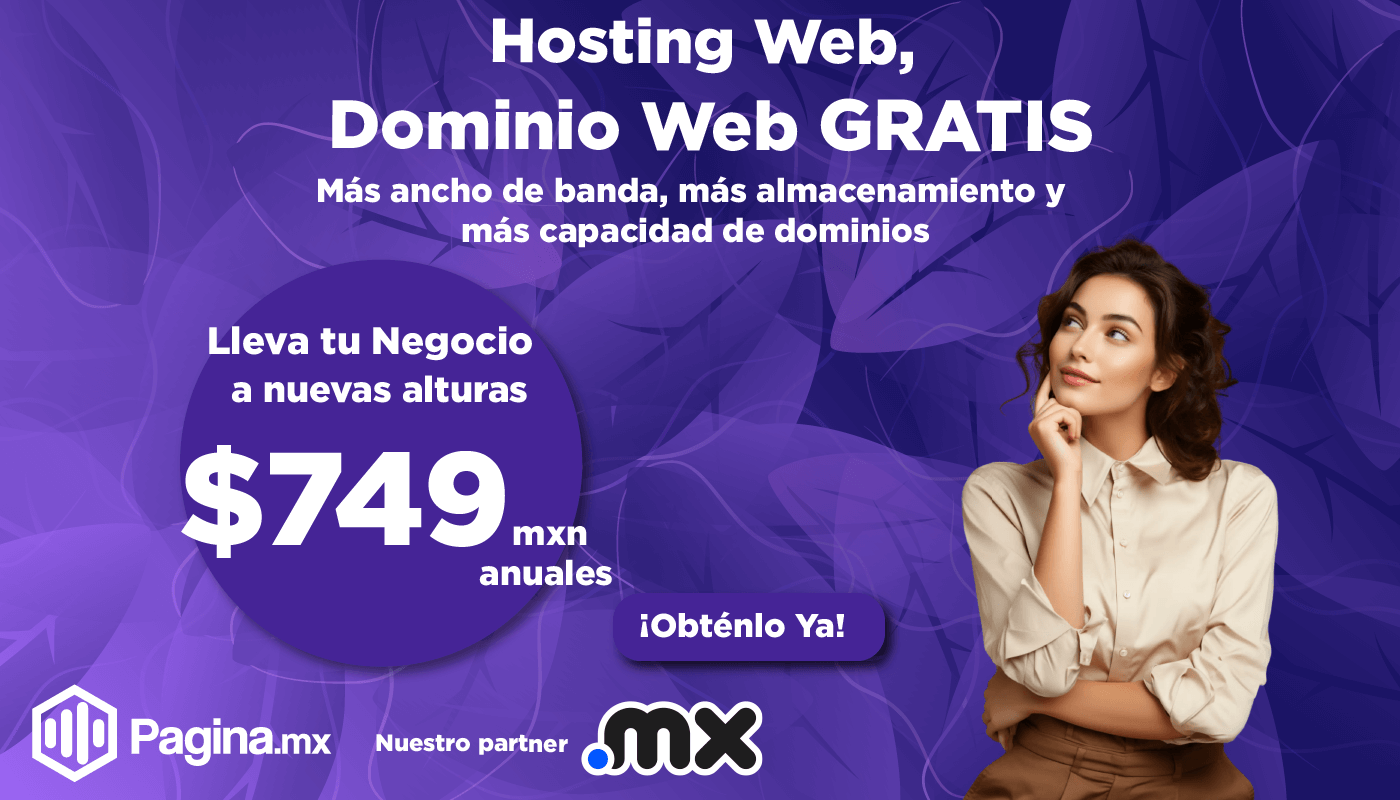 web hosting