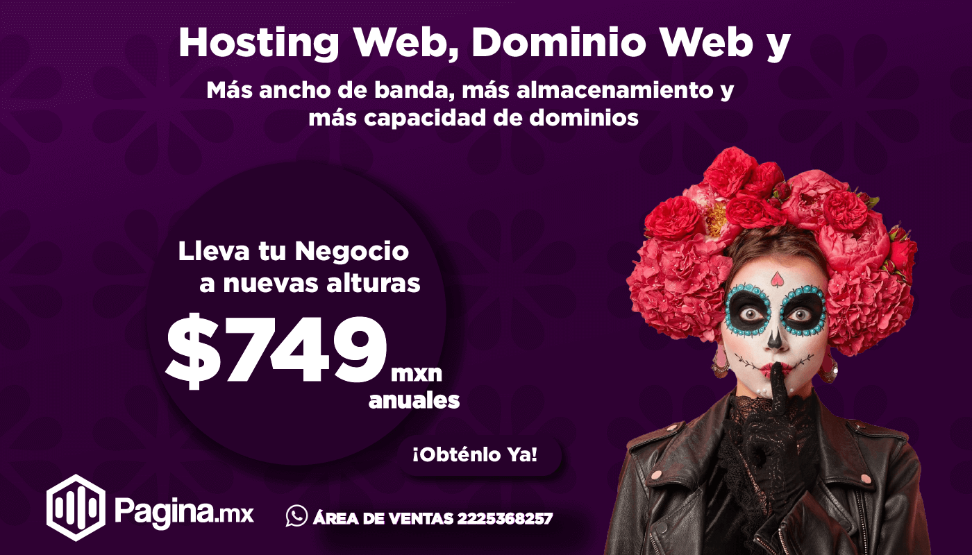 web hosting